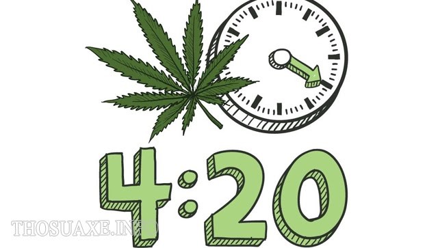 420 là gì? Giải thích ý nghĩa của con số 420 - Tin bên lề