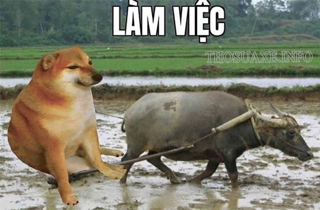 Một meme kết hợp từ “thăm ngàn” và chú chó Cheems