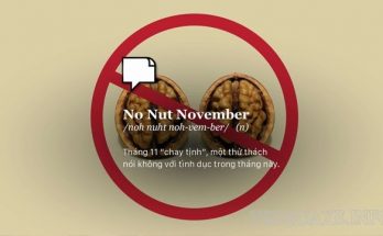 Định nghĩa No Nut November