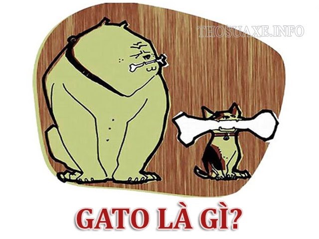 Tìm hiểu GATO có ý nghĩa gì?
