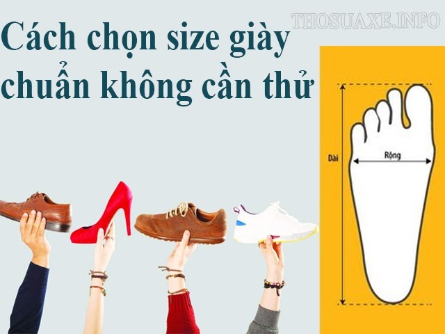 Hướng dẫn bạn cách đo size giày vừa chân mà không cần thử