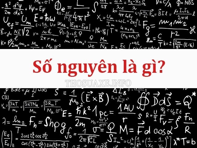 Số nguyên trong tin học là gì?
