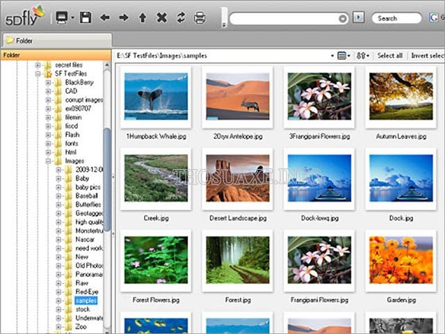 Phần mềm xem ảnh Fly Free Photo Editing and Viewer