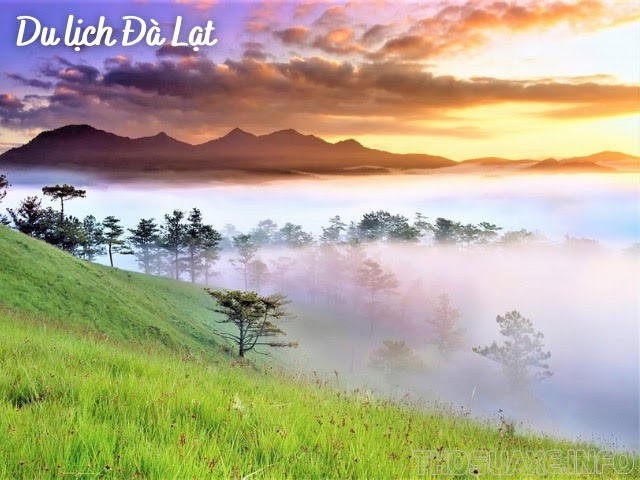 Săn mây ngàn trên Núi Langbiang rực rỡ và trong lành