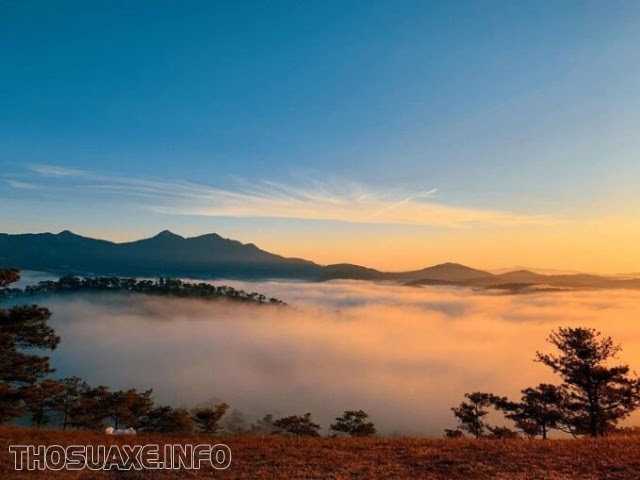 Địa điểm săn mây Đà Lạt miễn phí siêu đẹp - tha hồ chụp hình