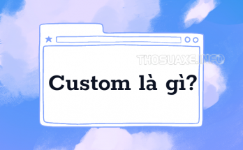 Custom là gì?