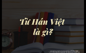 Từ Hán Việt là gì?