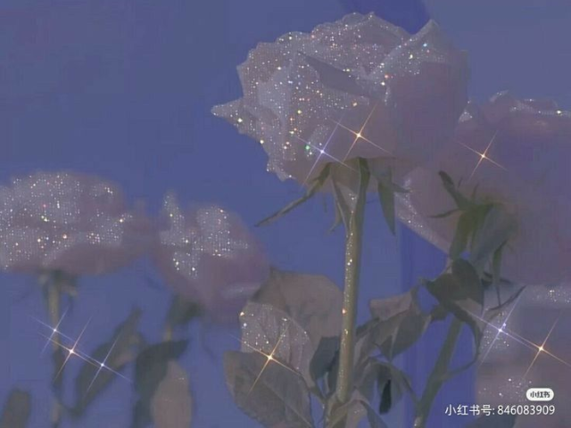 Hãy tưởng tượng bạn đang ngắm nhìn những đóa hoa hồng lấp lánh trong ánh nắng mặt trời. Màu sắc rực rỡ và ánh sáng rực rỡ sẽ đưa bạn vào một thế giới của sự lãng mạn và sắc màu. Hãy xem hình ảnh liên quan đến từ khóa này để tận hưởng trọn vẹn cảm giác đó!