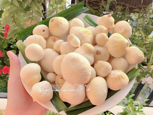 Mộng dừa ướp lạnh thích hợp cho mùa hè 